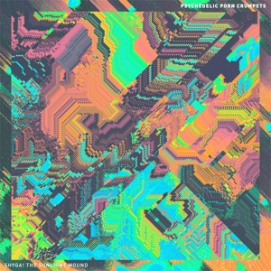 Psychedelic Porn Crumpets — Mr. Prism