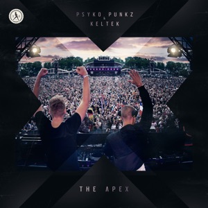 PSYKO PUNKZ/KELTEK — Apex