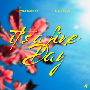 PULSEDRIVER;Sal De Sol — It's A Fine Day