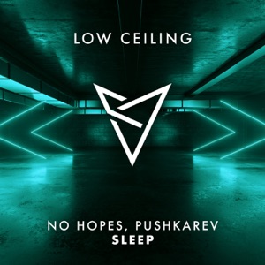 No Hopes, Pushkarev — SLEEP