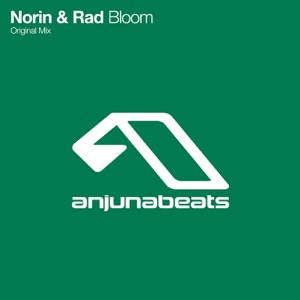 Norin, RAD — Bloom