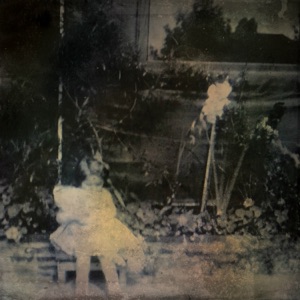 RAIN DOG/MONSOONSIREN — You Are Not Alone