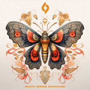 Ranta — Zorka