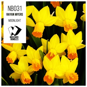 Rayan Myers — Love Devotion (Ambient Mix)