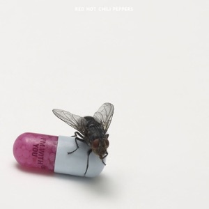 Red Hot Chili Peppers — Meet Me At The Corner