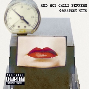 Red Hot Chili Peppers — Universally Speaking (live)