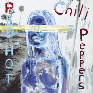 Red Hot Chili Peppers — Universally Speaking