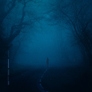 Øneheart, reidenshi — snowfall