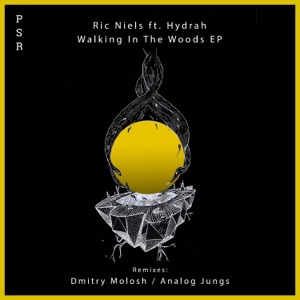 Ric Niels feat. Hydrah — Walking In The Woods (Analog Jungs Remix)