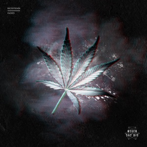 RICKYXSAN — Faded