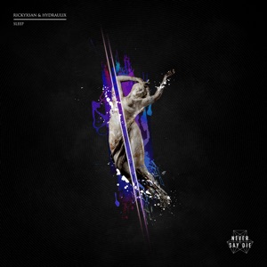 RICKYXSAN/HYDRAULIX — Sleep
