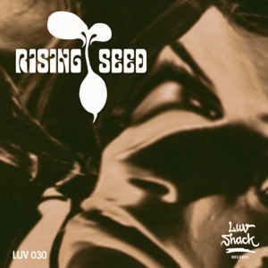 Rising Seed — What I Mean
