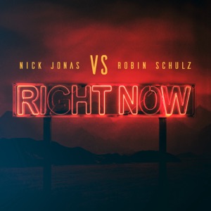 ROBIN SCHULZ ft NICK JONAS — Right Now
