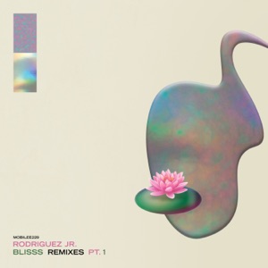 Rodriguez Jr. feat Liset Alea — What Is Real (Deep in the Playa Mix)
