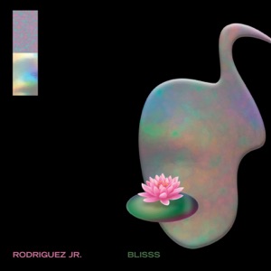 Rodriguez Jr. & Liset Alea — What Is Real (Deep in the Playa Mix)