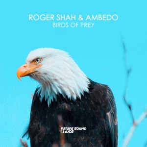 Roger Shah & Ambedo — Birds Of Prey (Extended Mix)