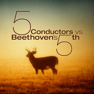 ROYAL PHILHARMONIC ORCHESTRA / ЛЮДВИГ ВАН БЕТХОВЕН — SYMPHONY NO. 5 IN C MINOR, OP. 67 FATE II. ANDANTE CON MOTO