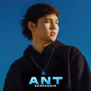 Sadraddin — ANT