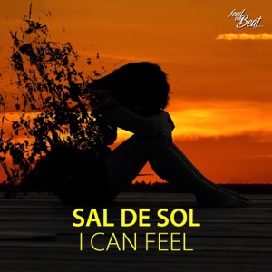 Sal De Sol — I Can Feel (Pulsedriver Extended Mix)