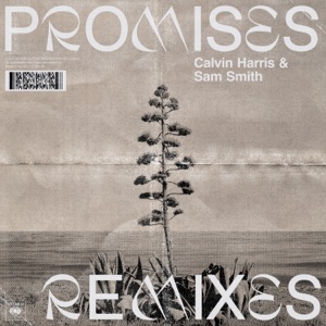 Calvin Harris, Sam Smith — Promises (Mousse T.'s Extended Disco Shizzle Remix)