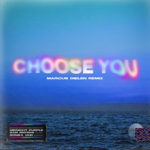 Sam Smyers;Sonika Vaid — Choose You (Marcus Dielen Remix)