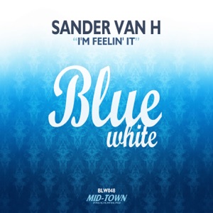 SANDER VAN H — I'm Feelin' It