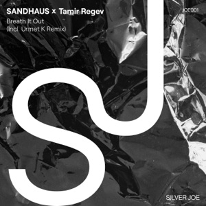 Tamir Regev, SANDHAUS — Breath It Out (Urmet K Remix Extended)