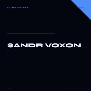 Sandr Voxon; Erbil Dzemoski — Let It Out