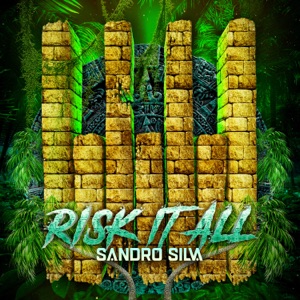 SANDRO SILVA — Risk It All