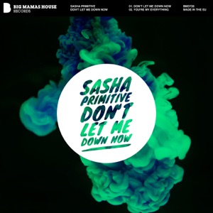 Sasha Primitive — Don't Let Me Down Now