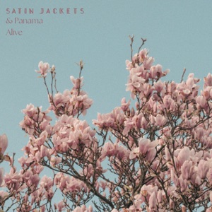 Satin Jackets & Panama — Alive