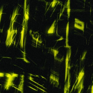 SATL — Wasp