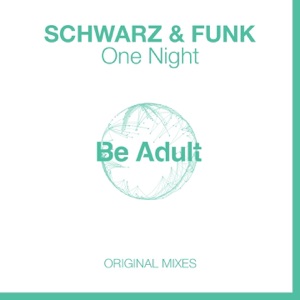 Schwarz & Funk — Endless Blue
