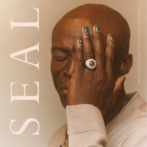 Seal — All I Know Is Now