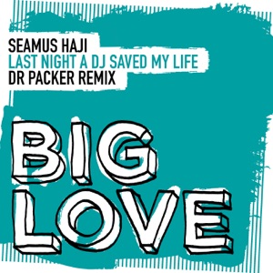 Seamus Haji — Last Night A DJ Saved My Life (Dr Packer Remix)