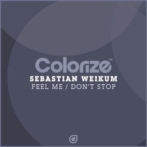 Sebastian Weikum — Friends (Original Mix)