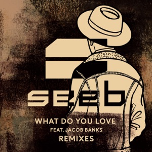 Seeb feat. Jacob Banks — What Do You Love (SJUR Remix) - 0:00