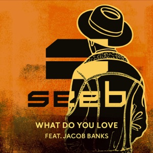 SEEB — WHAT DO YOU LOVE