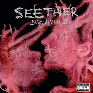 Seether ft. Amy Lee — Broken