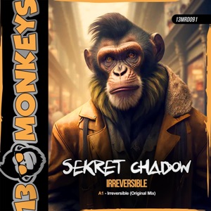 SEKRET CHADOW — Irreversible