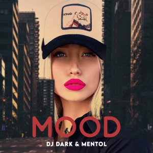 Mahmut Orhan, Sena Sener — Fly Above (Dj Dark & Mentol Extended Remix)