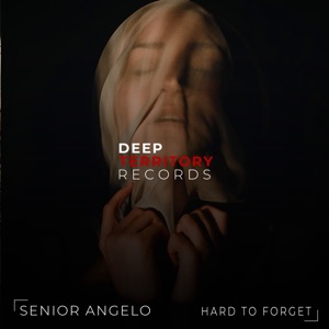 Senior Angelo — Hard To Forget