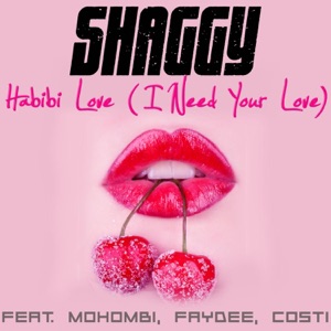 SHAGGY feat. MOHOMBI FAYDEE & COSTI — HABIBI LOVE I NEED YOUR LOVE