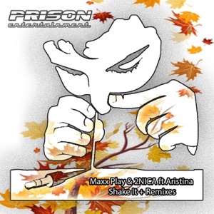 Shake It Feat Aristina (Tim Cosmo Remix) — 2nica, Maxx Play