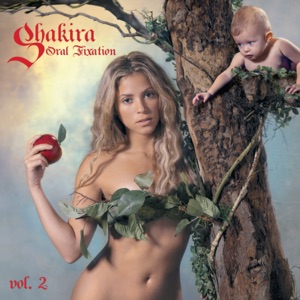 Shakira/Wyclef Jean — Hips Don't Lie