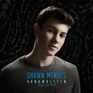 Shawn Mendes & Hailee Steinfeld — Stitches (Levi Remix)