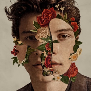 Shawn Mendes — In My Blood