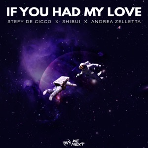 STEFY DE CICCO, SHIBUI, ANDREA ZELLETTA — IF YOU HAD MY LOVE (2023)