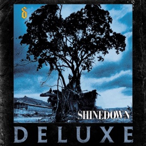 Shinedown — Simple Man (Acoustic)