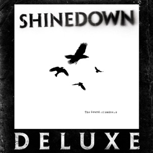 Shinedown — Sound Of Madness